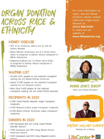 Organ Donation Across Race & Ethnicity PDF